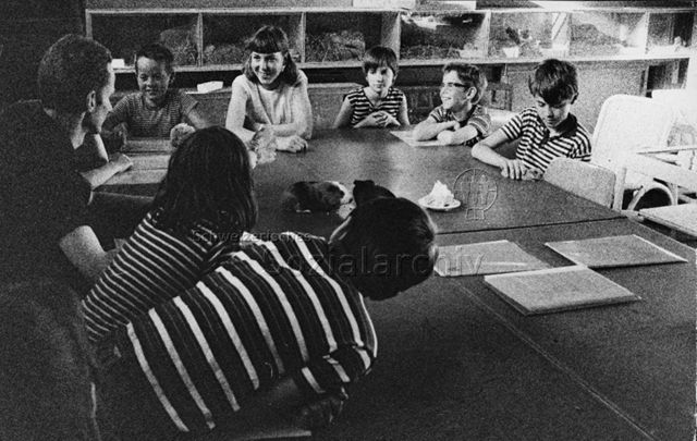 "Freizeitzentrum Wipkingen, Tierpflege" - Kinder lernen dem Umgang mit Tieren, auf dem Tisch ein Huhn und Meerschweinchen; um 1975