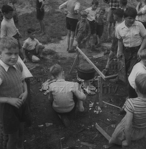 "Freizeitanlagen, Gemeinschaftszentren: FZA Wipkingen, Zürich" - Jungen haben auf einer Wiese einen Pfadikessel über ein Feuer gehängt; um 1960