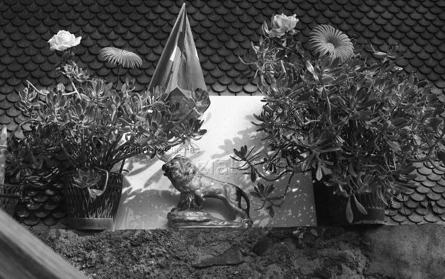 Eschenbach LU, Herbst 1971