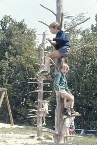"Kletterbäume, Signal de Bougy" - spielende Kinder; um 1980
