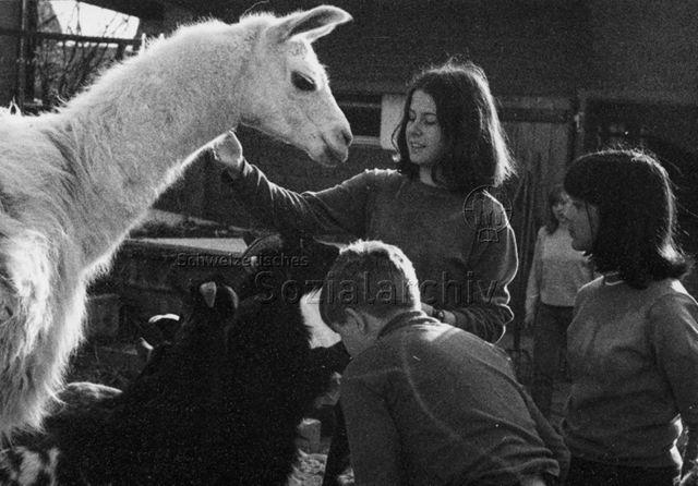 "Lama Freizeitanlage Buchegg" - Kinder streicheln Lama; 1969