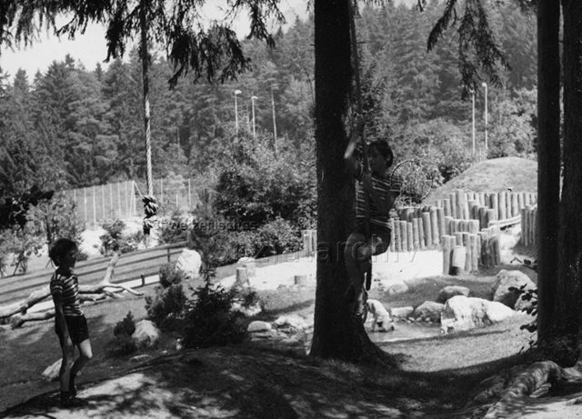 "Spielplatz Schaan, erbaut von Herrn Trachsel" - Zwei Jungen beim Spielen, einer klettert ein Seil hoch; 1973