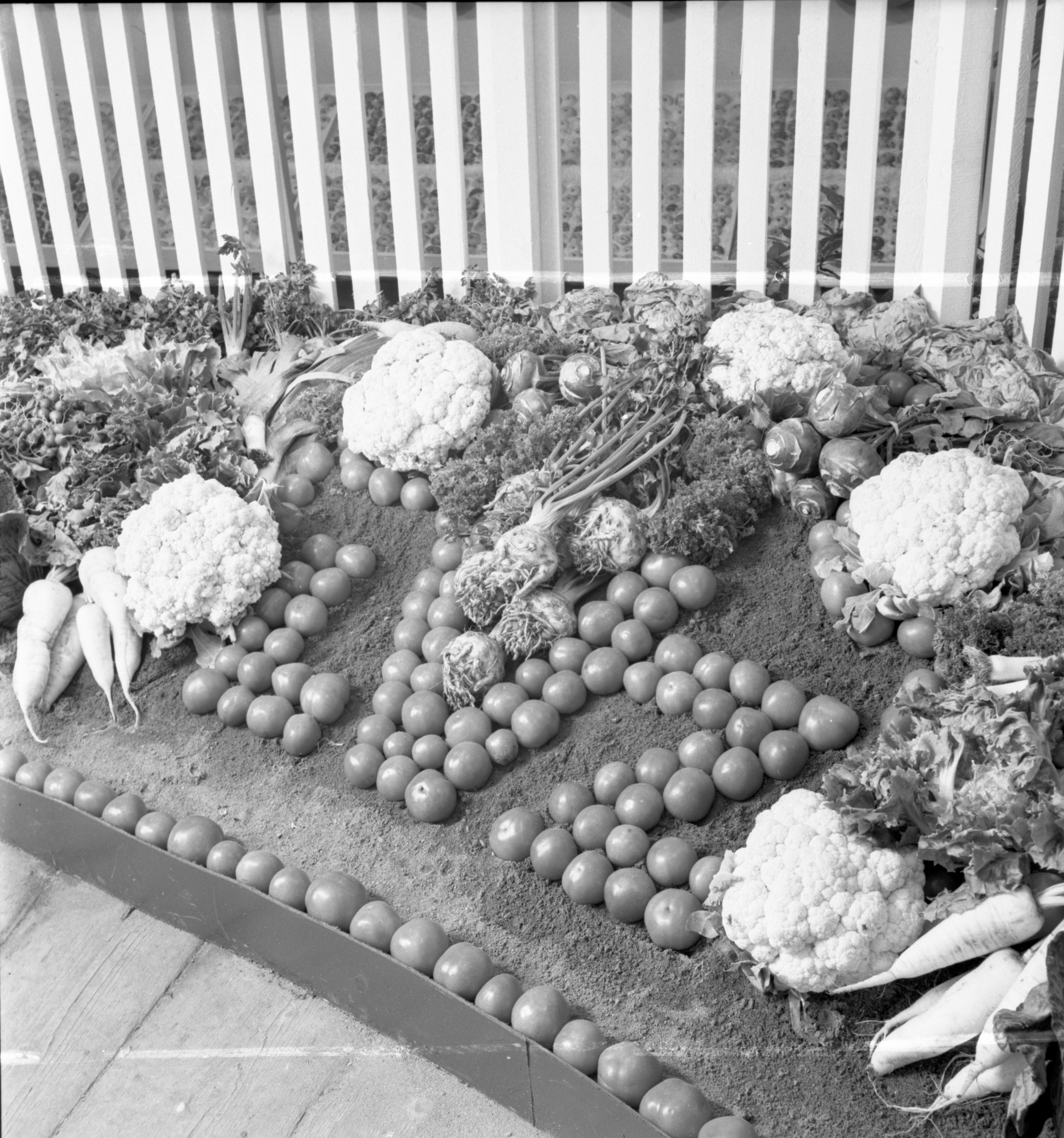 Ausstellung "Die Aufbewahrung der Lagergemüse"