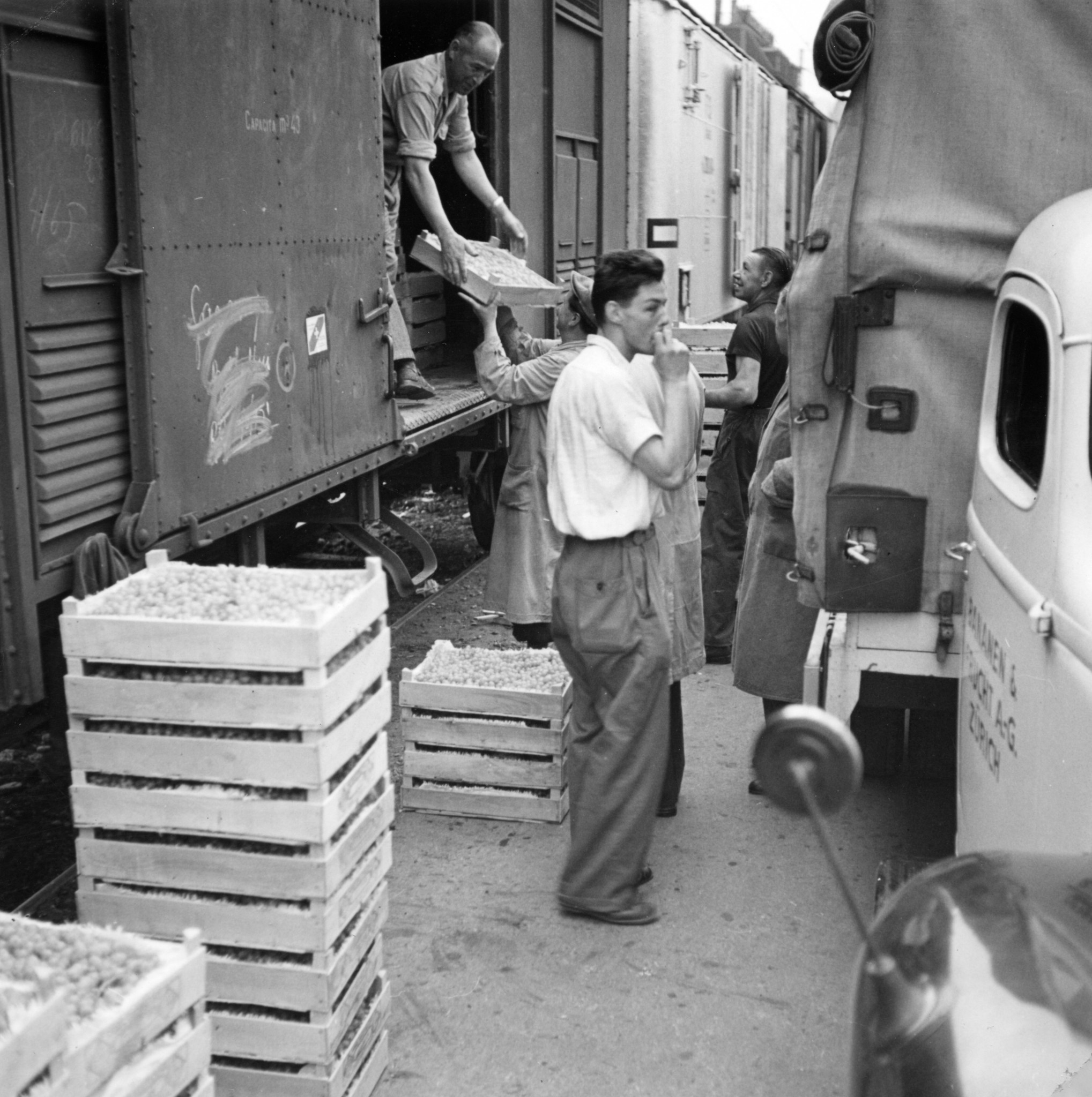 Verladen von Kisten mit Trauben in einen Eisenbahnwaggon