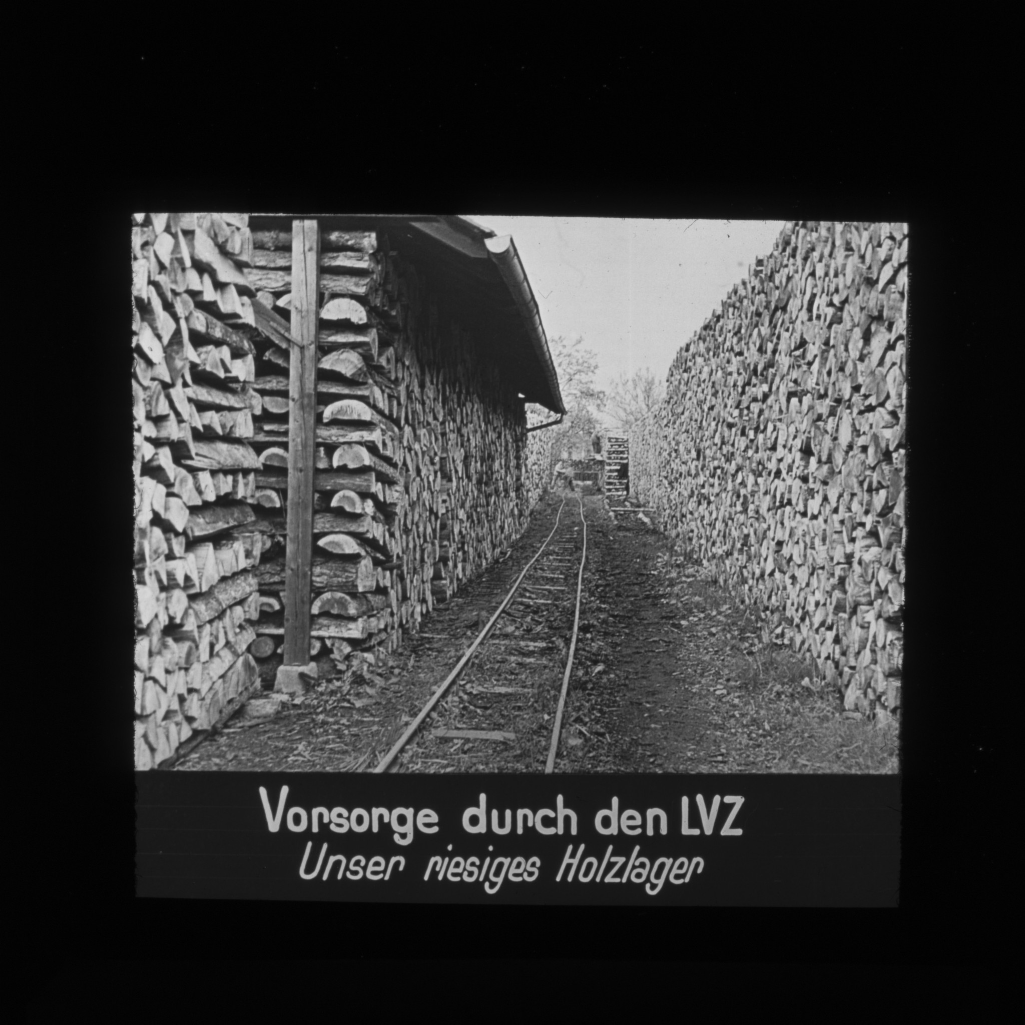 Dia: Holzlager an der Turbinenstrasse: "Vorsorge durch den LVZ. Unser riesiges Holzlager".