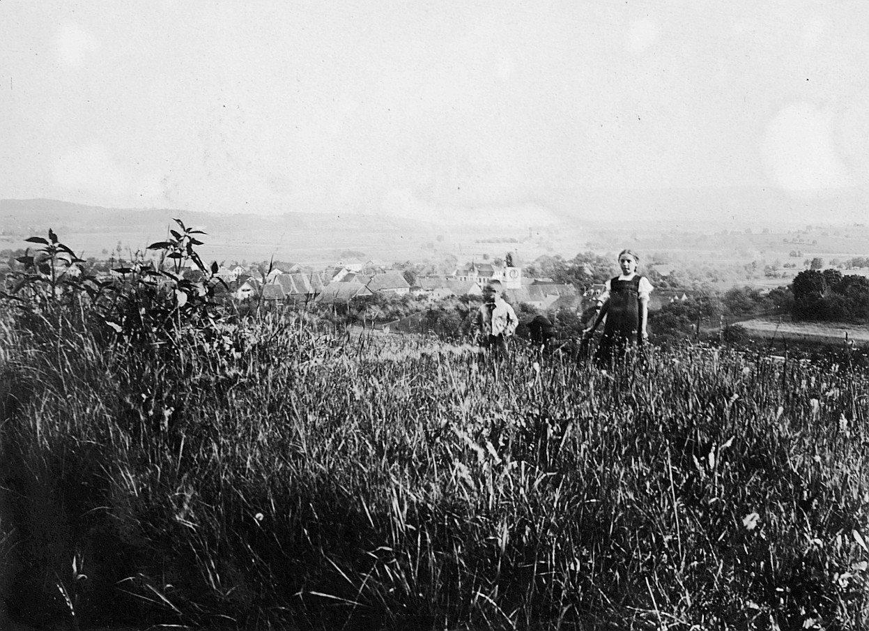 Zwei Kinder in einem Feld bei Bassersdorf (1912)