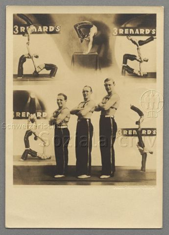 "3 Renard's