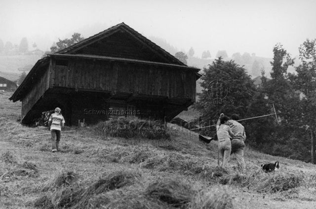 Ansicht eines Bauernhauses auf der Alp, davor drei Personen beim Heuen; um 1975