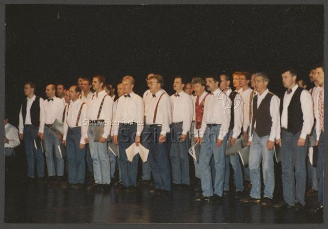 15 Jahre HALU: Schmaz-Konzert (29.03.1994, Luzern)<br>