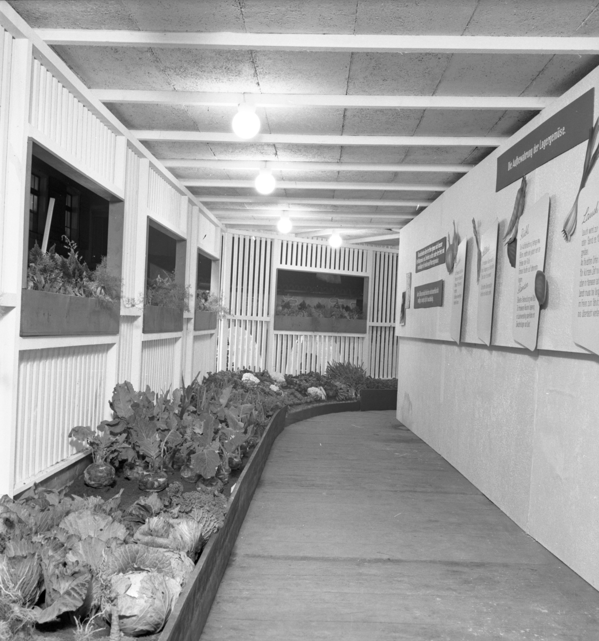 Ausstellung "Die Aufbewahrung der Lagergemüse"