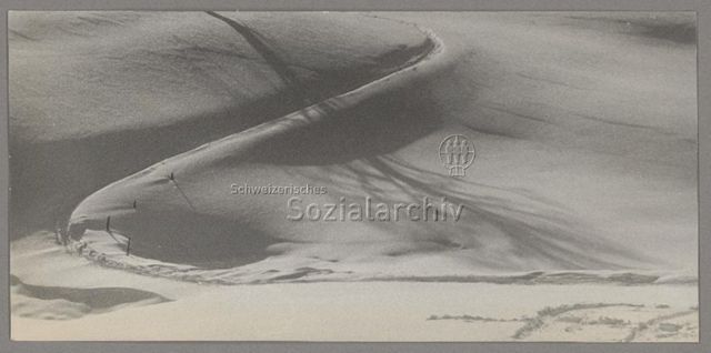 Naturfreunde-Fotogruppe Zürich
