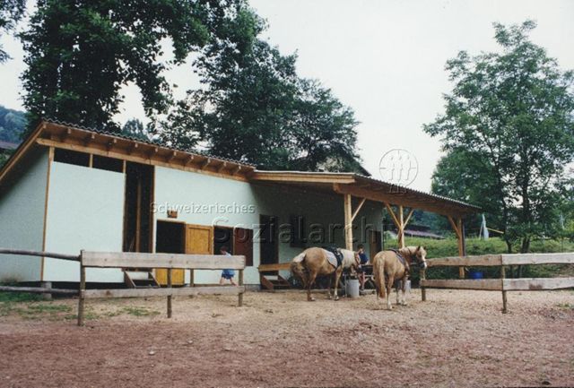 Bosco della Bella, Feriendorf für kinderreiche Familien - Pferdestall, Reitanlage, Pferde; 1997