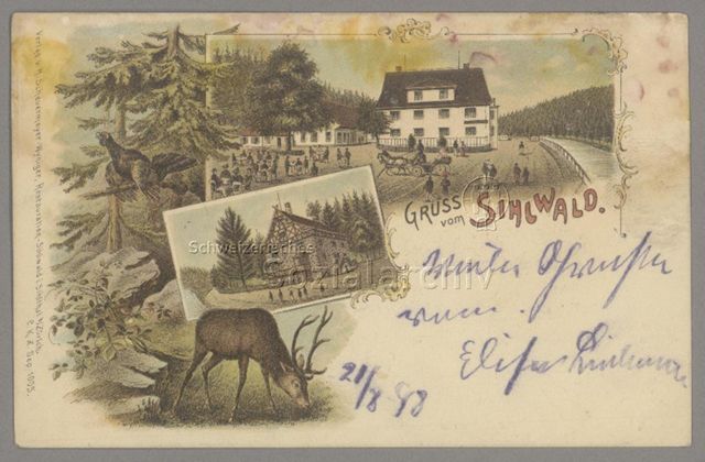 Grüss vom Sihlwald