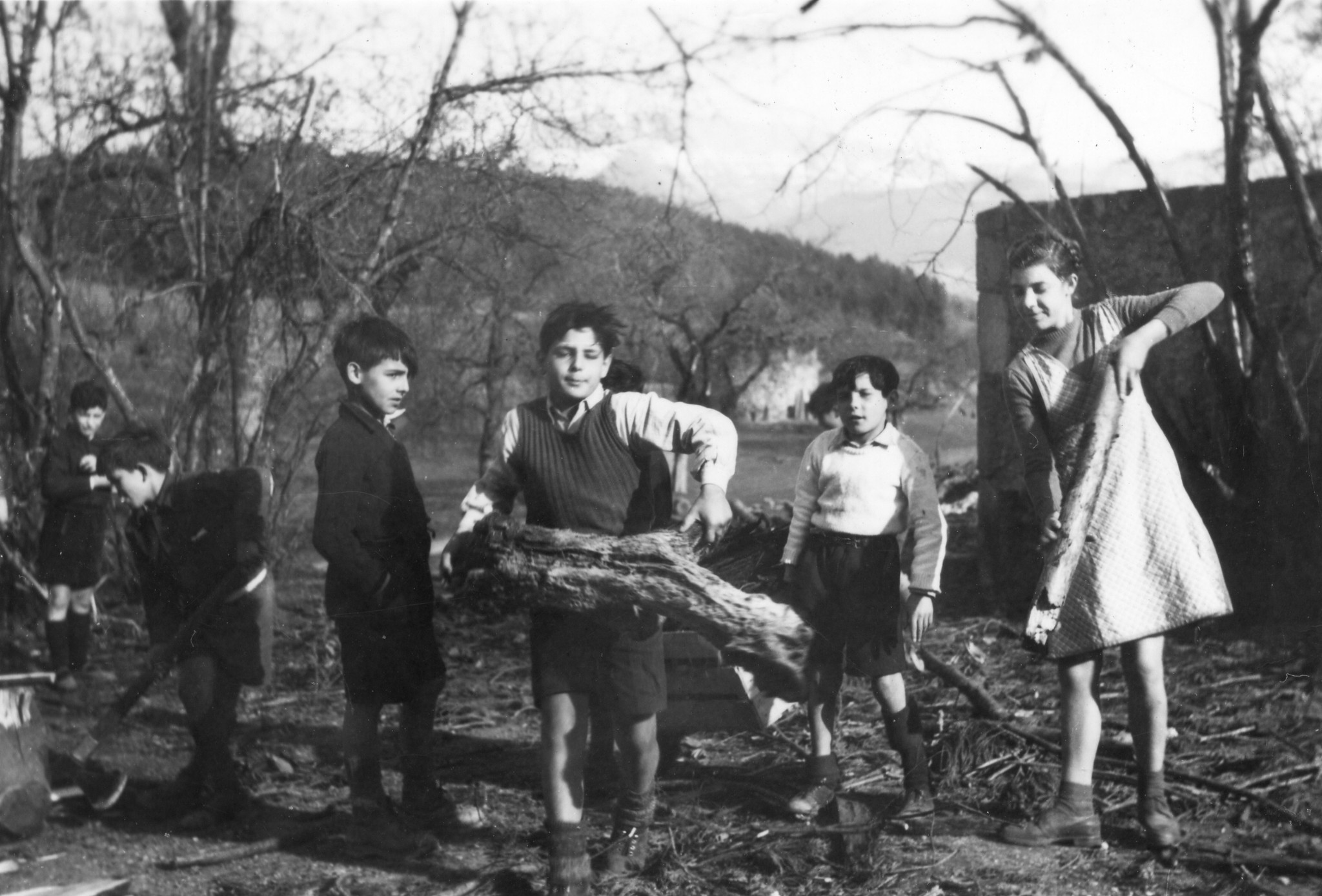 Kinder sammeln Holz
