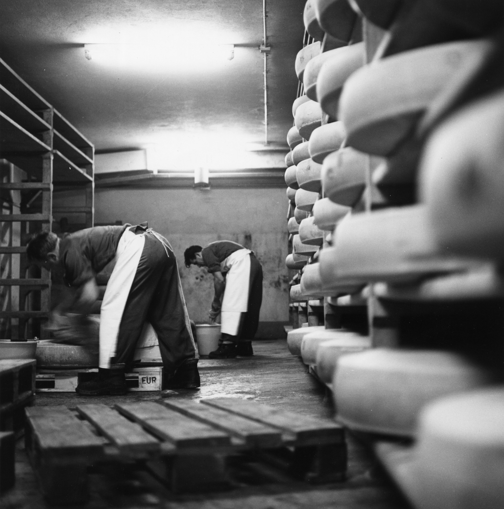 Männer beim Waschen und Wenden von Käselaiben in einem Käse-Lager