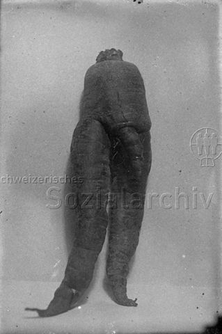 Glasnegative von H. P. Coray, Uitikon-Waldegg (keine weiteren Metadaten vorhanden)