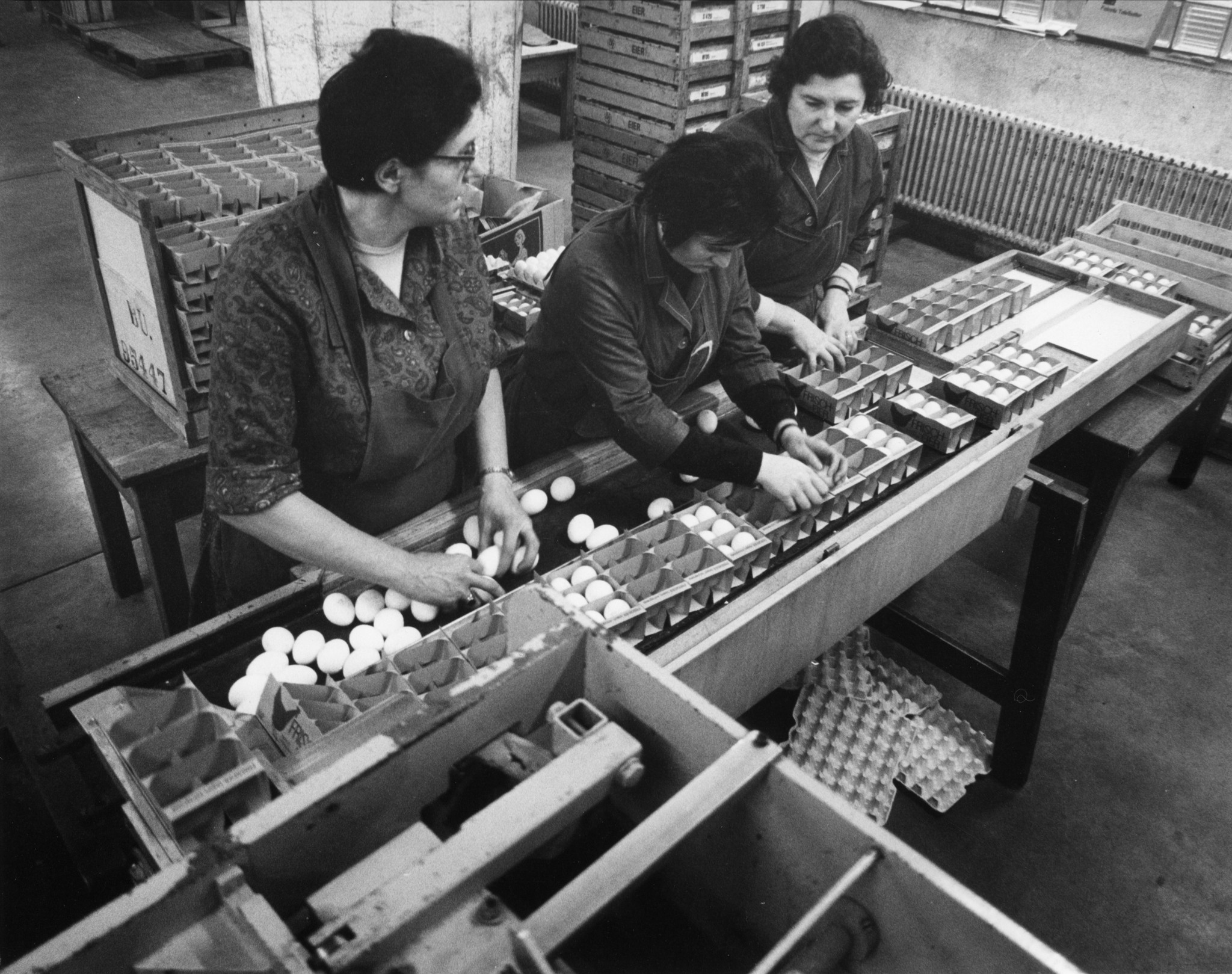 Frauen beim Verpacken von Eiern am Fliessband