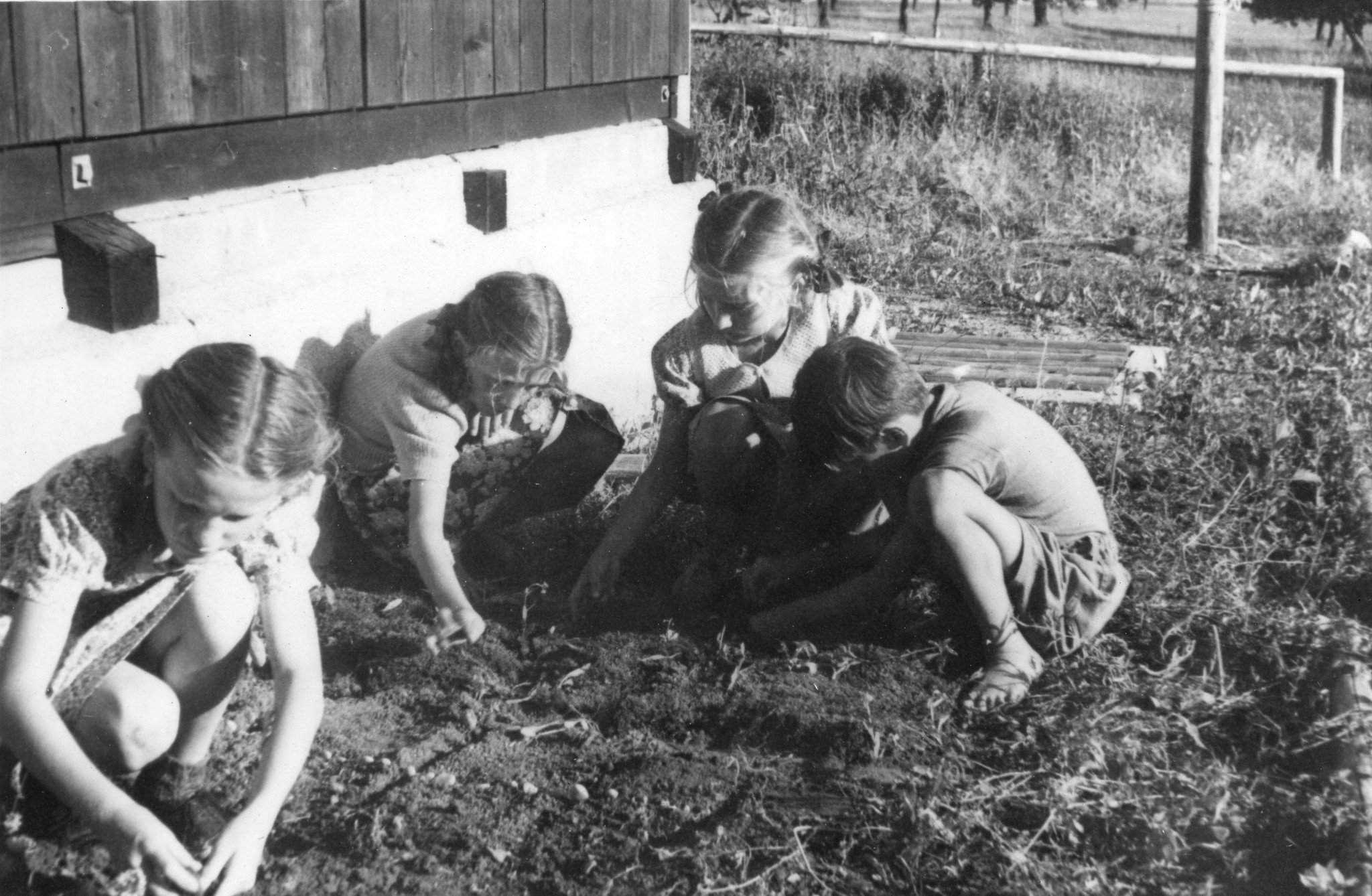 "Ferienkolonie für Ungarnkinder Kemleten / Kempttal Sommer 1947"; Kinder bearbeiten den Boden