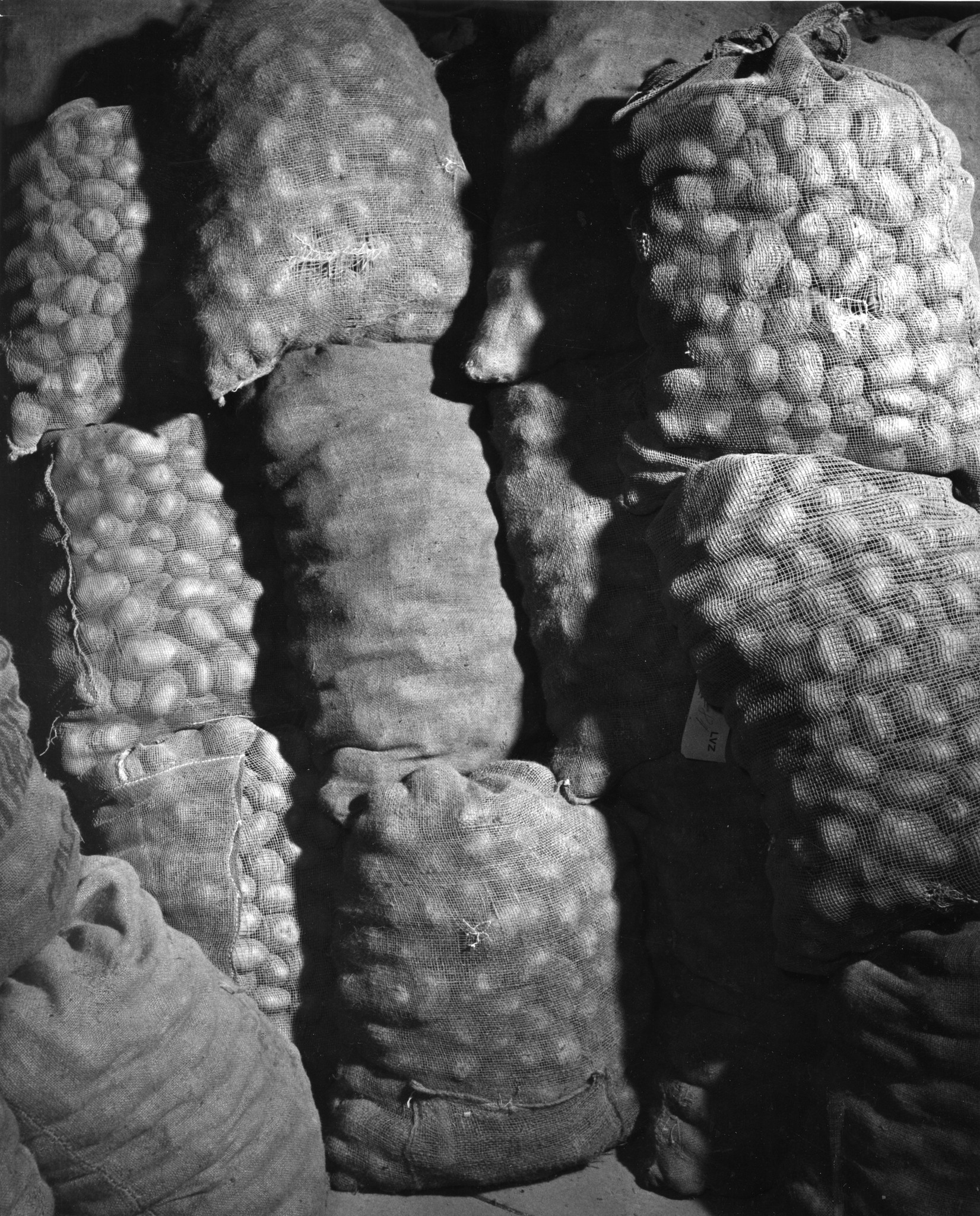 In Säcken verpackte Kartoffeln