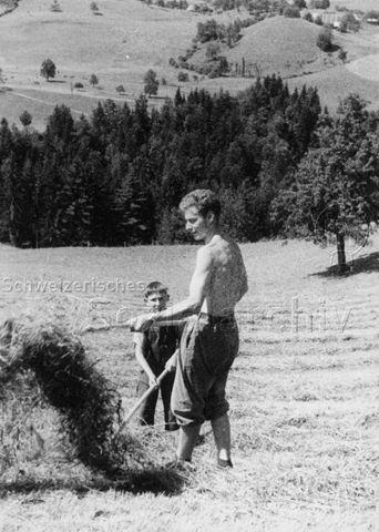PraktikantInnenhilfe - Praktikant und Junge beim Heuen; um 1965