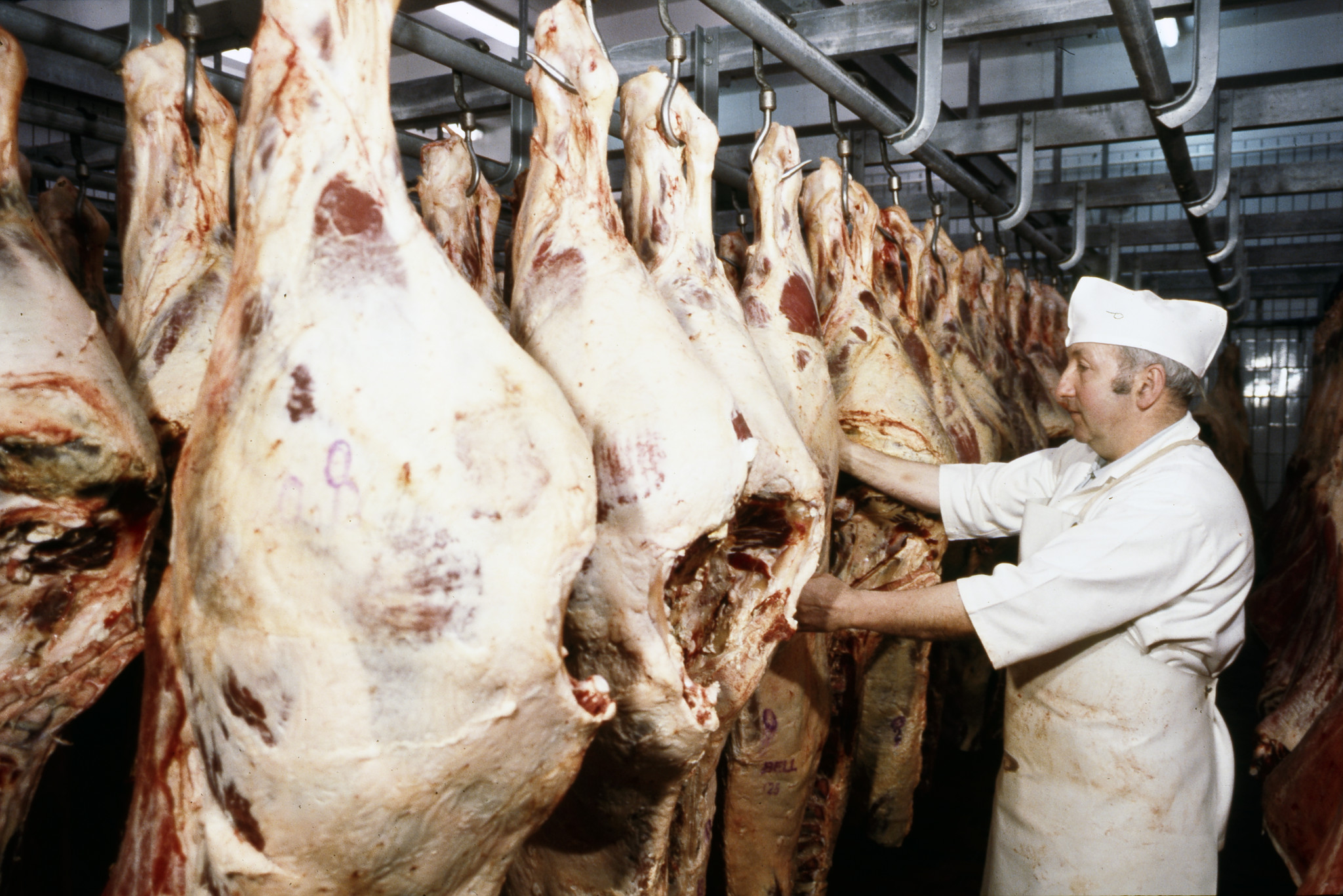 Metzger mit Fleisch, ca. 1980