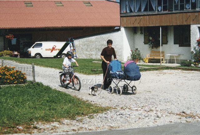 PraktikantInnenhilfe: Einsätze - Spaziergang, Praktikantin schiebt Kinderwagen und hält einen Hund an der Leine, ein Junge fährt mit dem Fahrrad nebenher; 2000