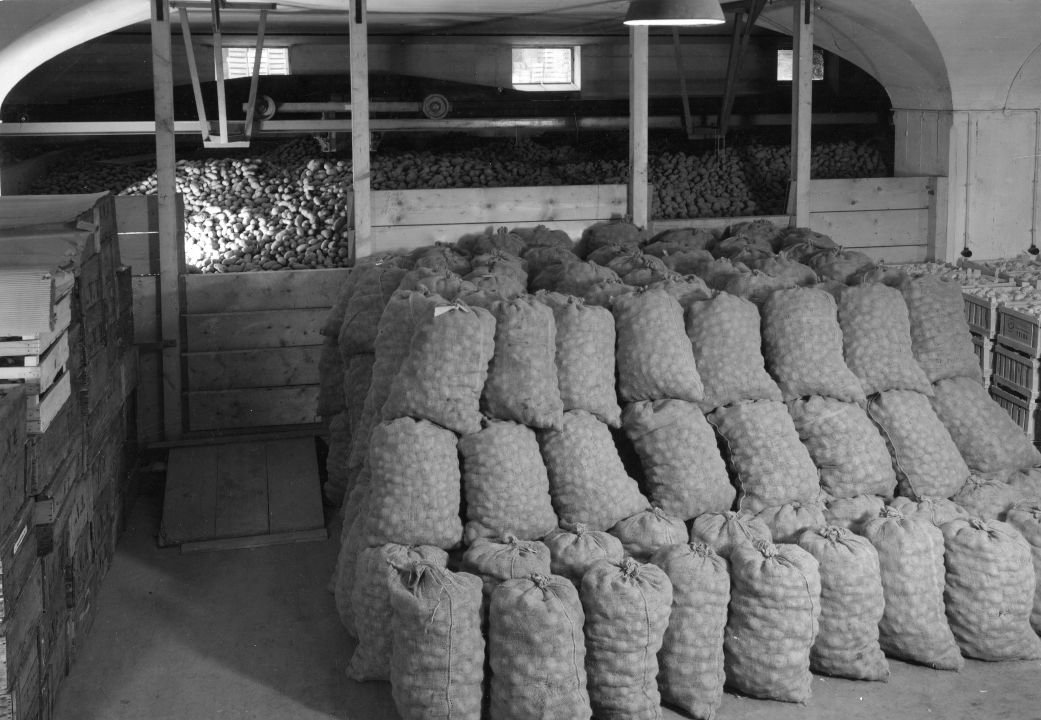 In Säcken verpackte Kartoffeln in einem Lager