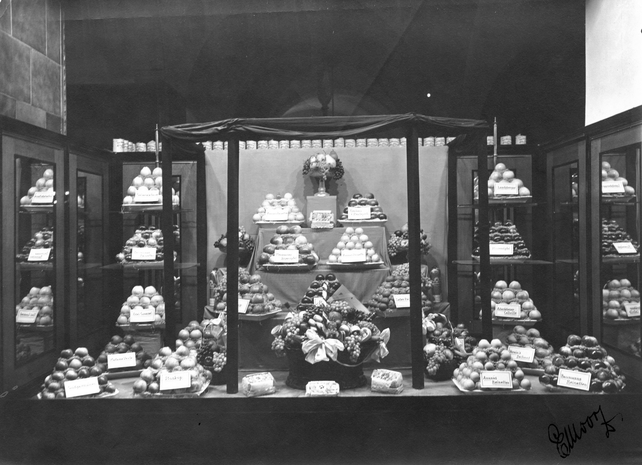 Schaufenster mit Früchten