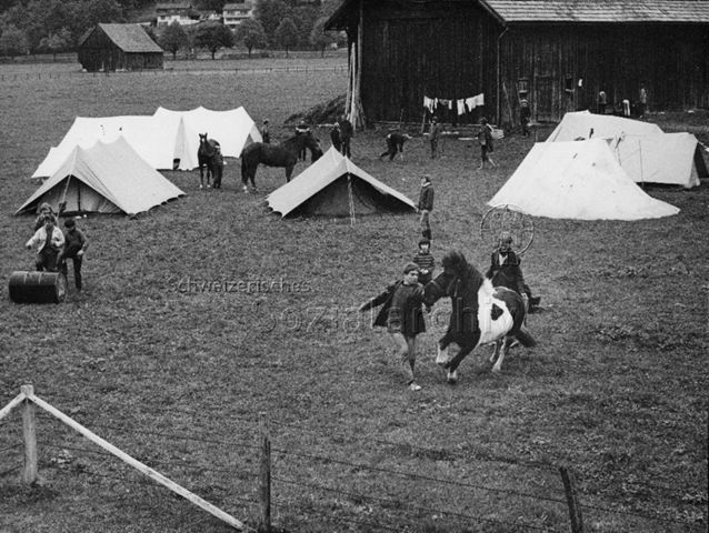 "FZA Zigeunerlager" - Kinder und Jugendliche beim Spielen und Reiten mit Pferden; um 1975