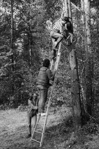"Aktion 7" - Jugendlicher mit Hammer auf einer Leiter an Baum; um 1990