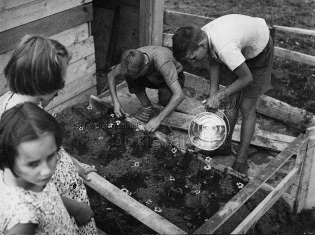 "Der selbstgebaute Garten vor dem selbstgezimmerten Haus", Robinsonspieplatz Wipkingen, Zürich; um 1965