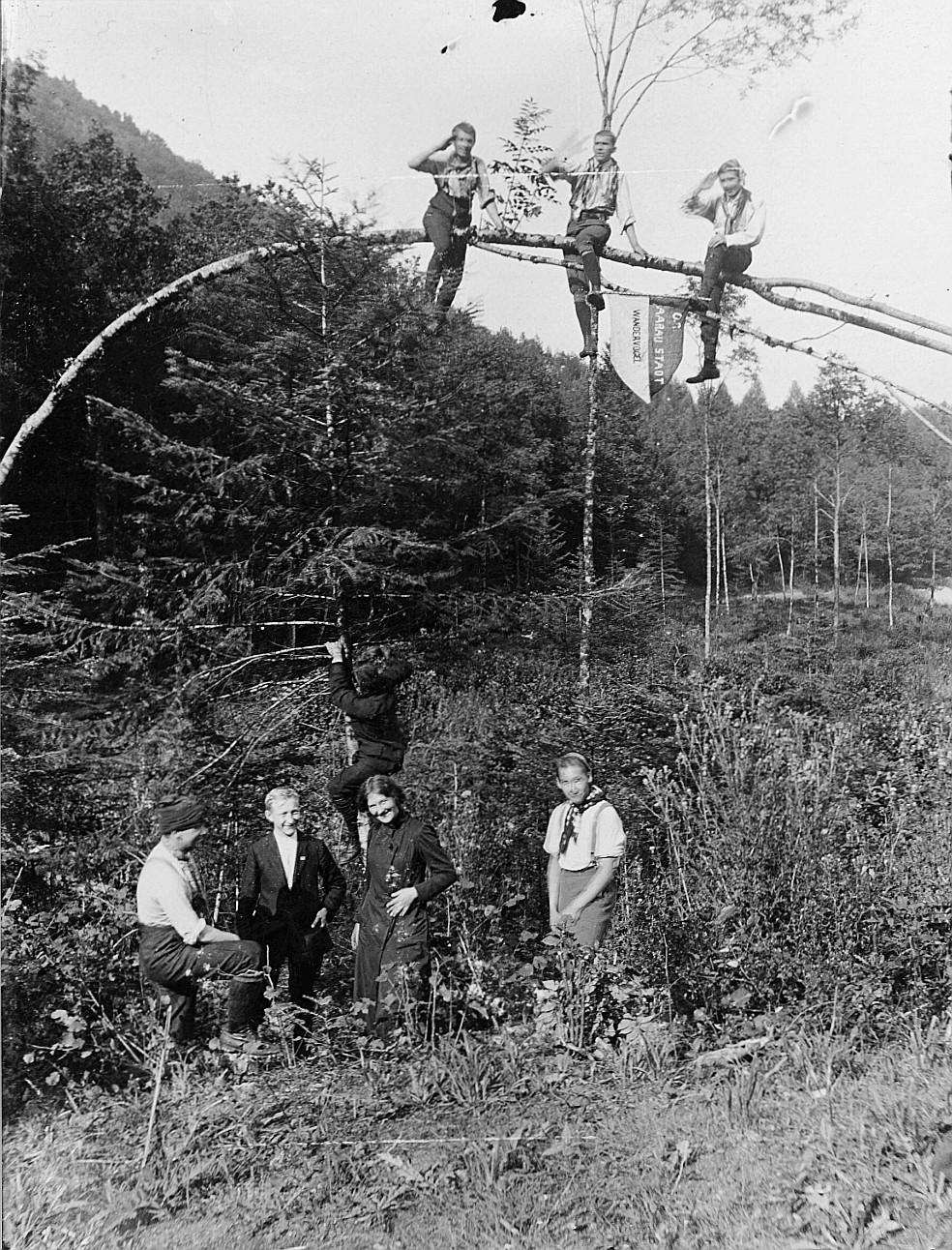 Ausflug der Wandervogel-Ortsgruppe Aarau-Stadt - Kleingruppe von Wandervögeln im Wald: Drei Wandervögel sitzen auf einem Ast, welche