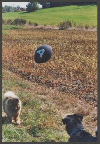 Aktion der HAZ: "Rainbow-Wolke of Love" im Vorfeld der kantonalen Abstimmung zum Partnerschaftsgesetz (08.09.2002) – Hund mit Ballon<br>