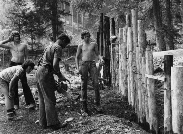 "Fronarbeit für Spielplatz Grüsch" - Mann und Jugendliche bei der Arbeit mit der Motorsäge; 1973