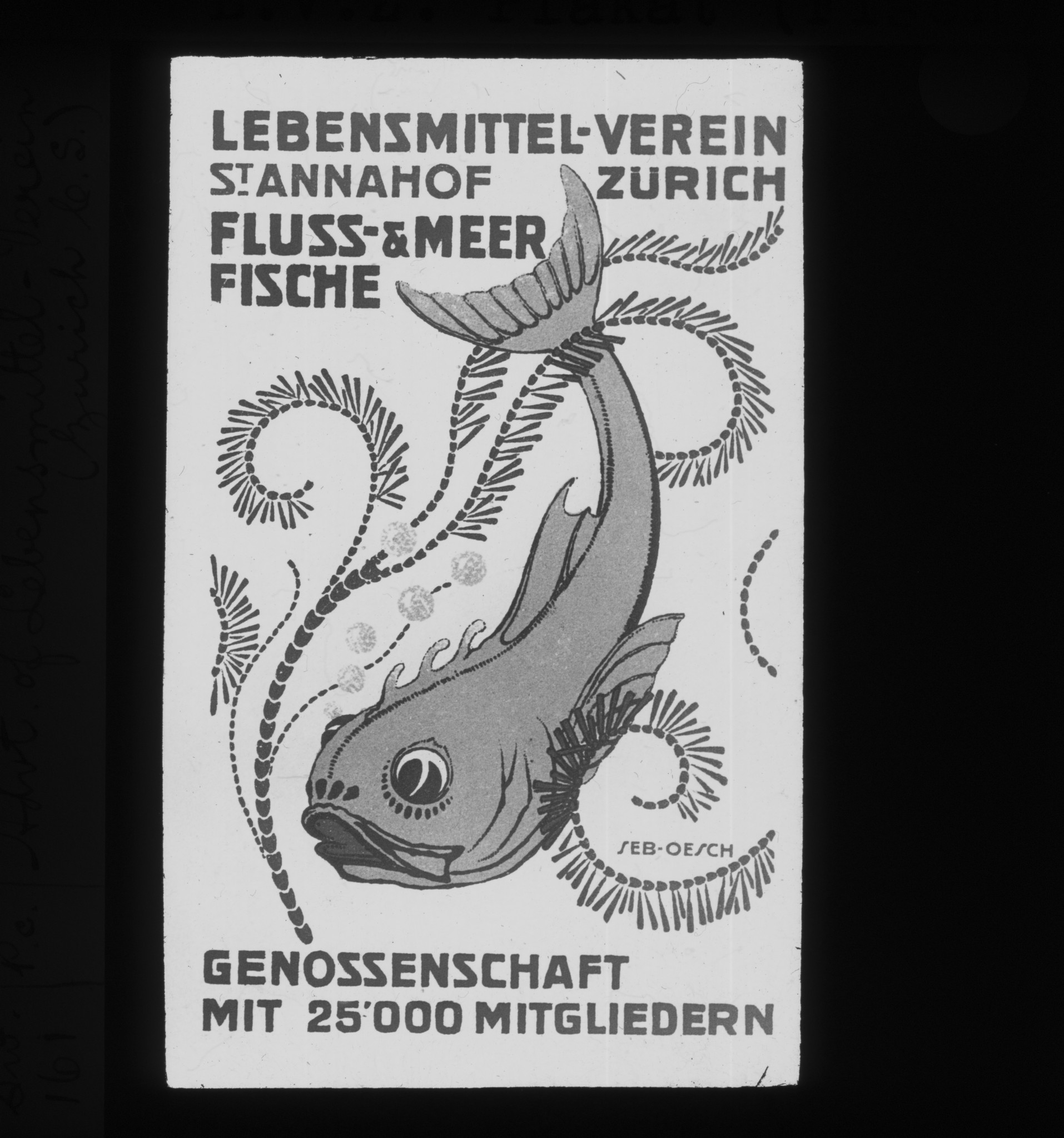 Dia: Werbung für die Fischabteilung im St. Annahof: "Fluss- und Meerfische / Genossenschaft mit 25'000 Mitgliedern".
