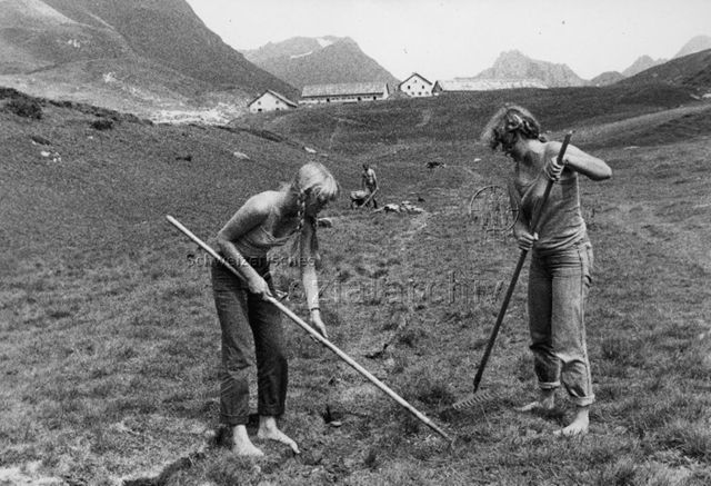 "Aktion 7" - Jugendliche bei der Arbeit auf einer Alp; um 1980