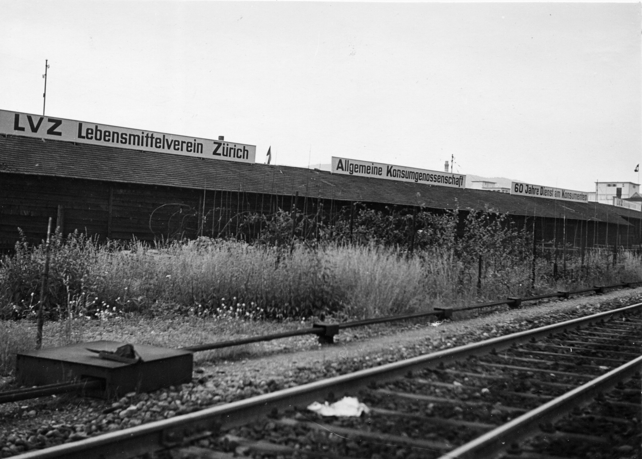 Holzlager des Lebensmittelvereins Zürich an der Turbinenstrasse, Juni 1939
