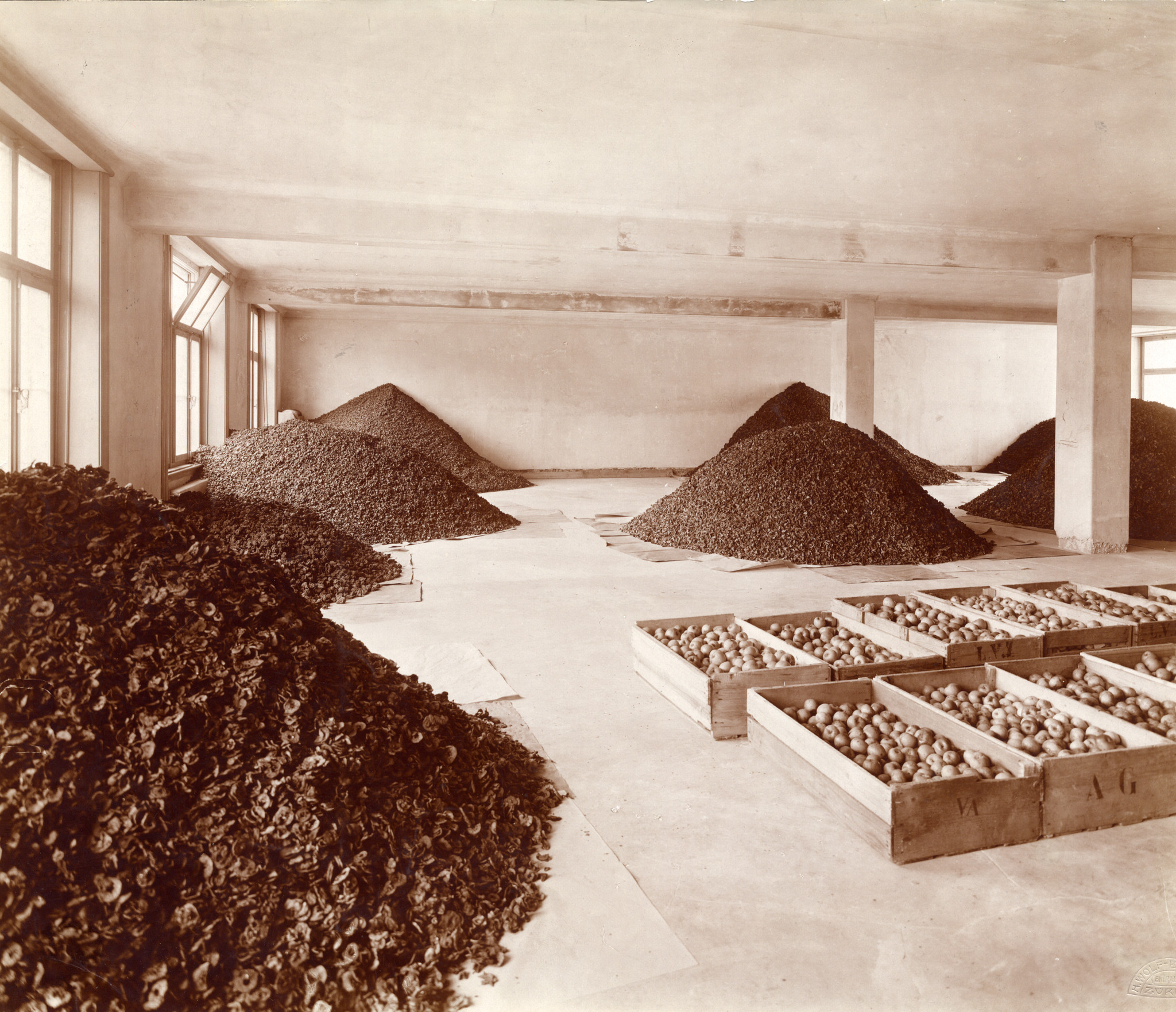Lagerhalle mit Kisten mit Äpfeln