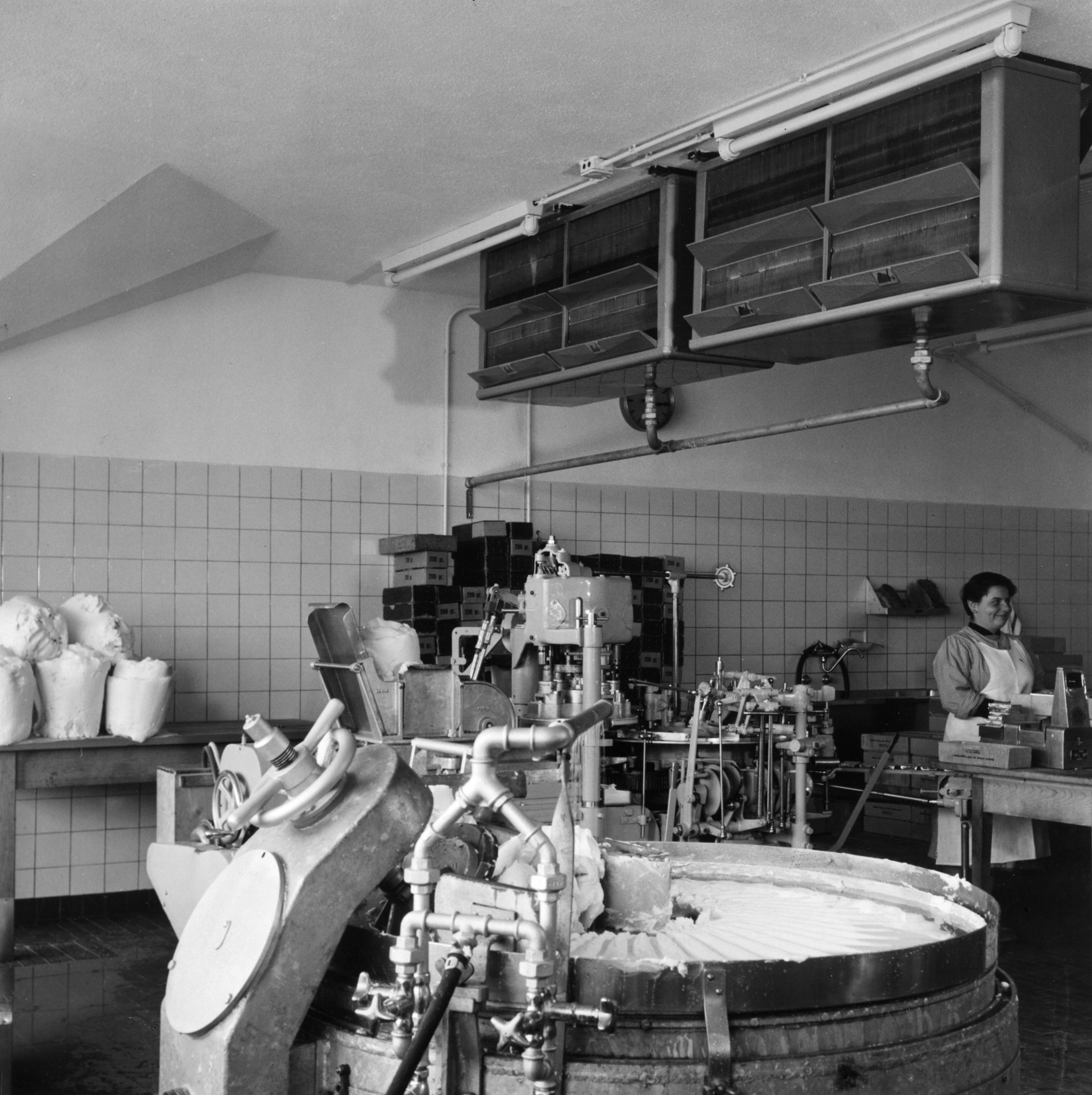 Frau neben einer Produktionsanlage in der Lebensmittelindustrie