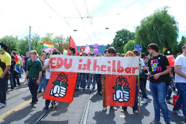CSD 2009: "Europride 09" (06.06.2009, Zürich) – "EDU ist heilbar", zwei Mal: Rose der sozialistischen Internationale