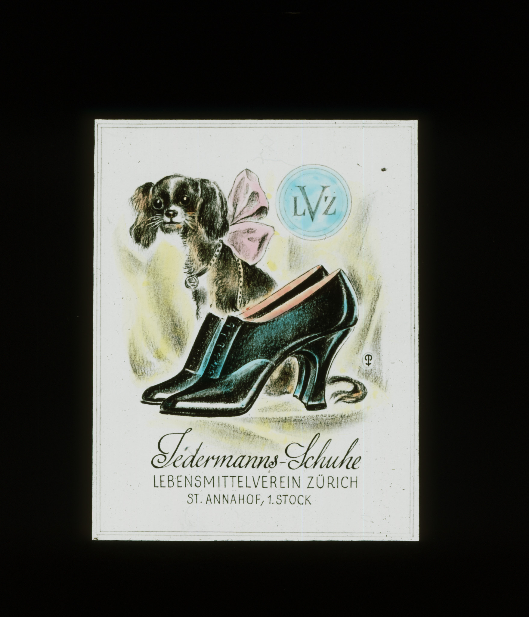 Dia: Werbung für Schuhe im St. Annahof, Schuhe und dahinter ein kleiner Hund: "LVZ Jedermanns-Schuhe Lebensmittelverein Zürich St. Annahof, 1. Stock".