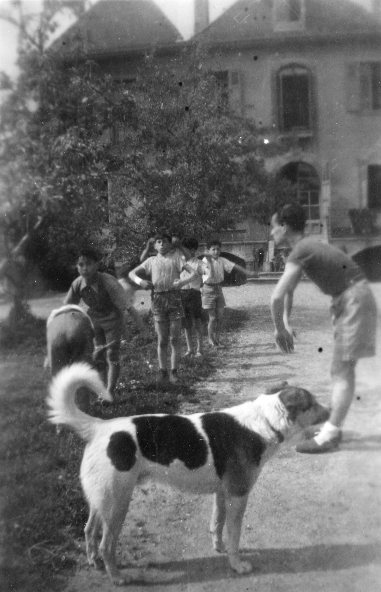 Ein Betreuer macht mit den Kindern Turnübungen; im Vordergrund steht ein Hund
