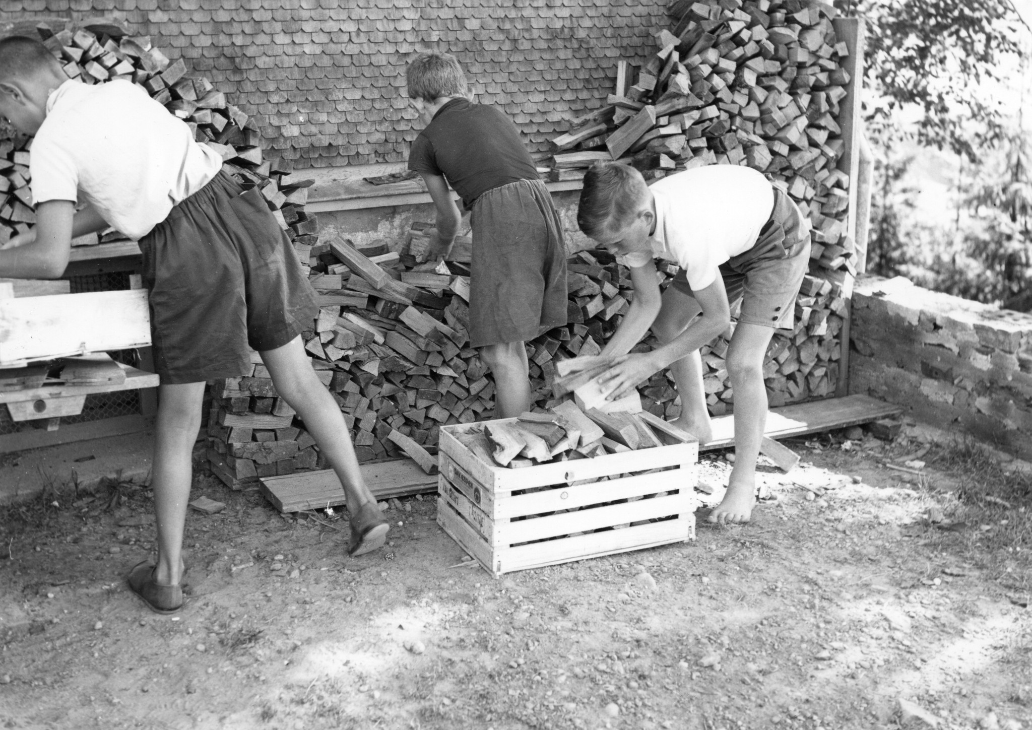 Ferienkolonie Landmark: Drei Knaben stapeln Holzscheite
