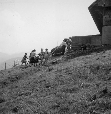 Praktikantinnenhilfe - Vater, Praktikantin und Kinder beim Heuen mit Pferd und Schlitten; um 1965