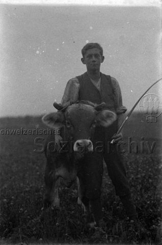 Glasnegative von H. P. Coray, Uitikon-Waldegg (keine weiteren Metadaten vorhanden)