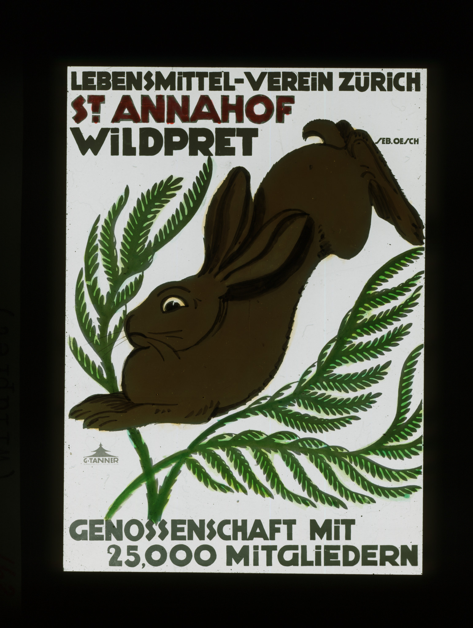 Dia: Kaninchen mit Farn, dazu Text: "Lebensmittel-Verein Zürich / St. Annahof / Wildpret / Genossenschaft mit 25,000 Mitgliedern".