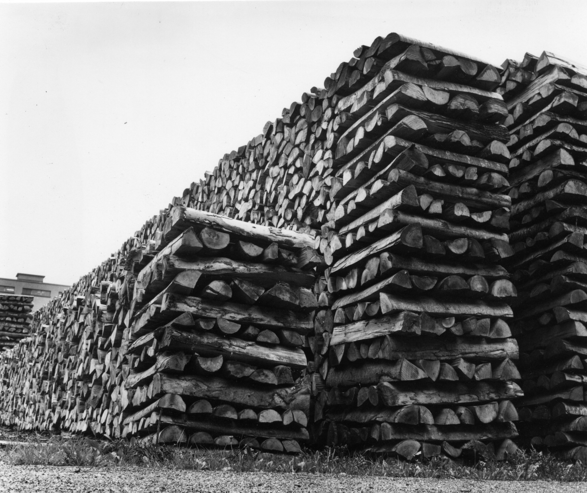 Holzlager an der Turbinenstrasse in Zürich: gestapeltes Holz