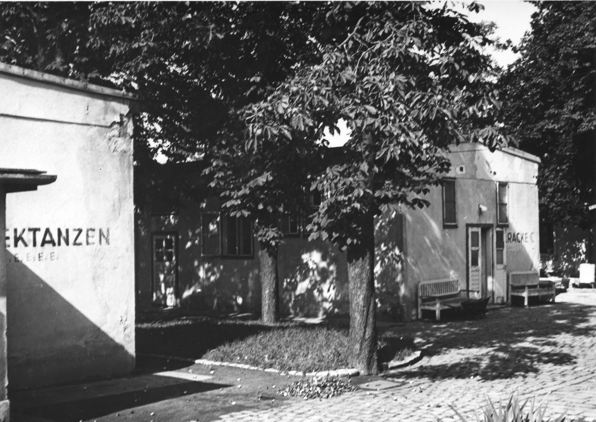 "Rekonvaleszentenheim für Flüchtlinge Wien 12, Okt. 1949", Baracken