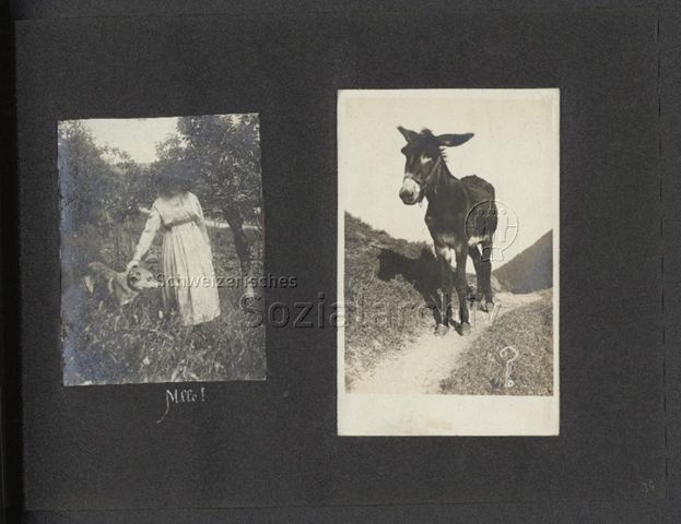 Fotoalbum "John U. Wolf: Some of my snaps 1916-1920
