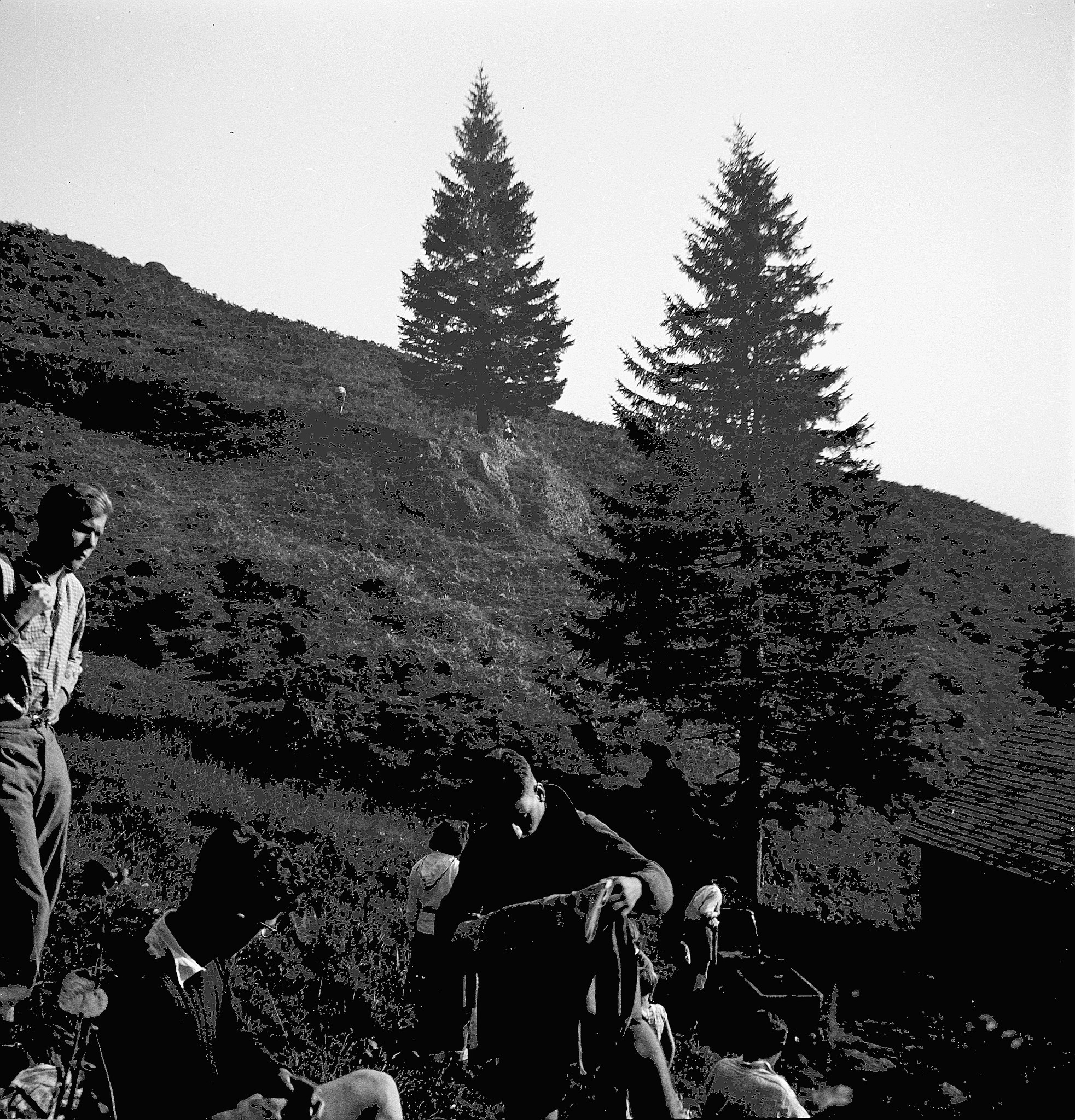 Hütten-Usrumete Prestenburg - Wandervögel stehen oder sitzen auf der Wiese hinter der Hütte (1938)